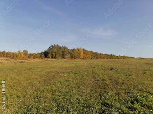Autumn field under a clear sky