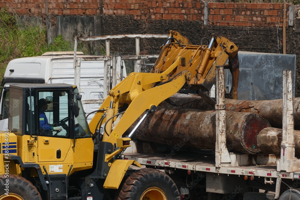 Deforestation Amazon rainforest, heavy machinery loading tropical timber from a barge on a truck. Forestry industrial activity. Port of Santarem, State of Para, Brazil.