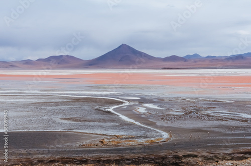 Laguna Colorada in Bolivia altiplano photo