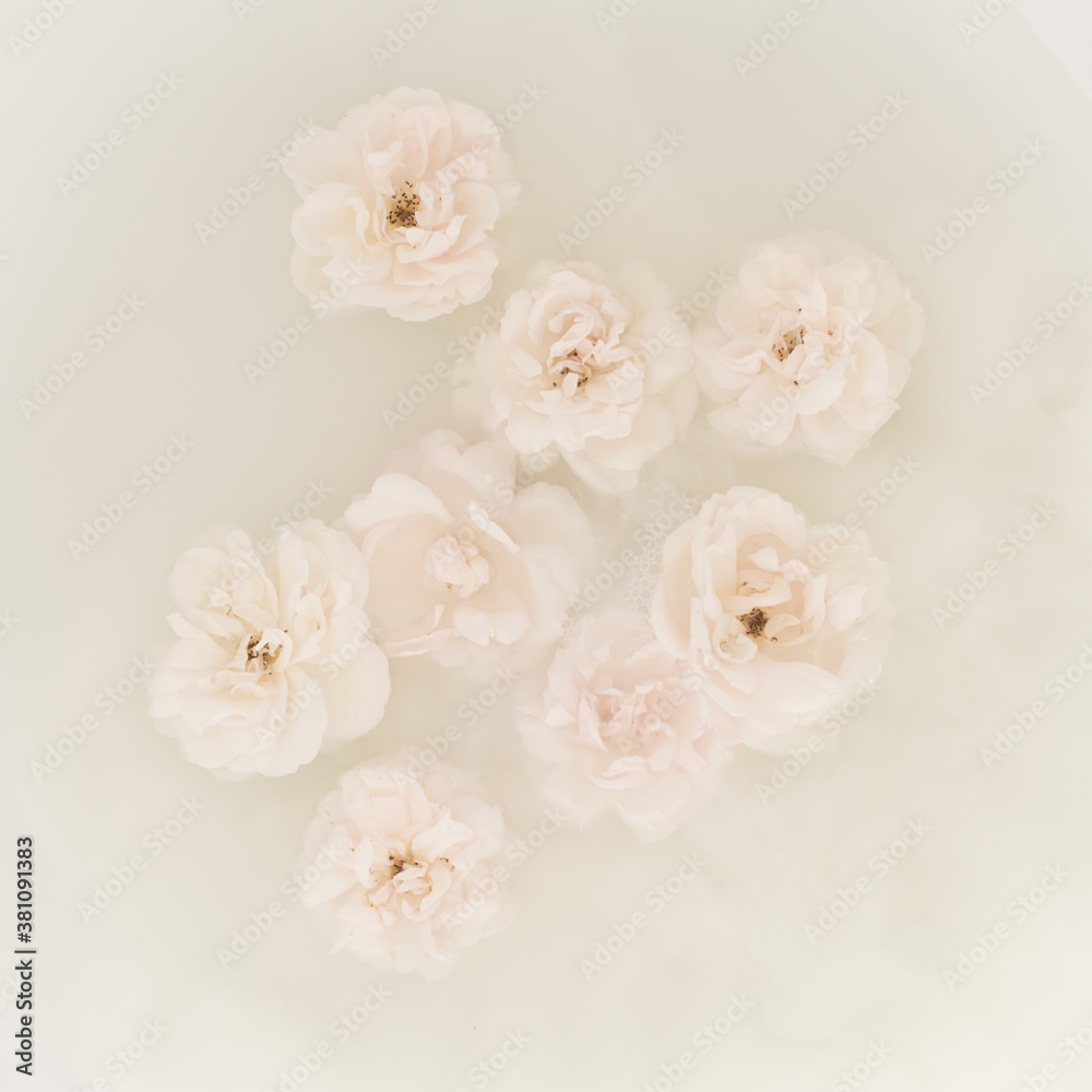 Close up of white roses floating in water Close up of white roses floating in water