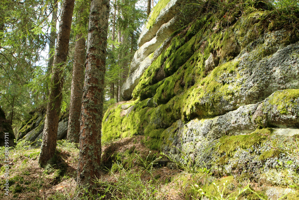 The rocks in deep woods of Šumava national park in Czech Republic. This is a part of the Bear trail ( The rocks in deep woods of Šumava national park in Czech Republic. This is a part of the Bear trail (
