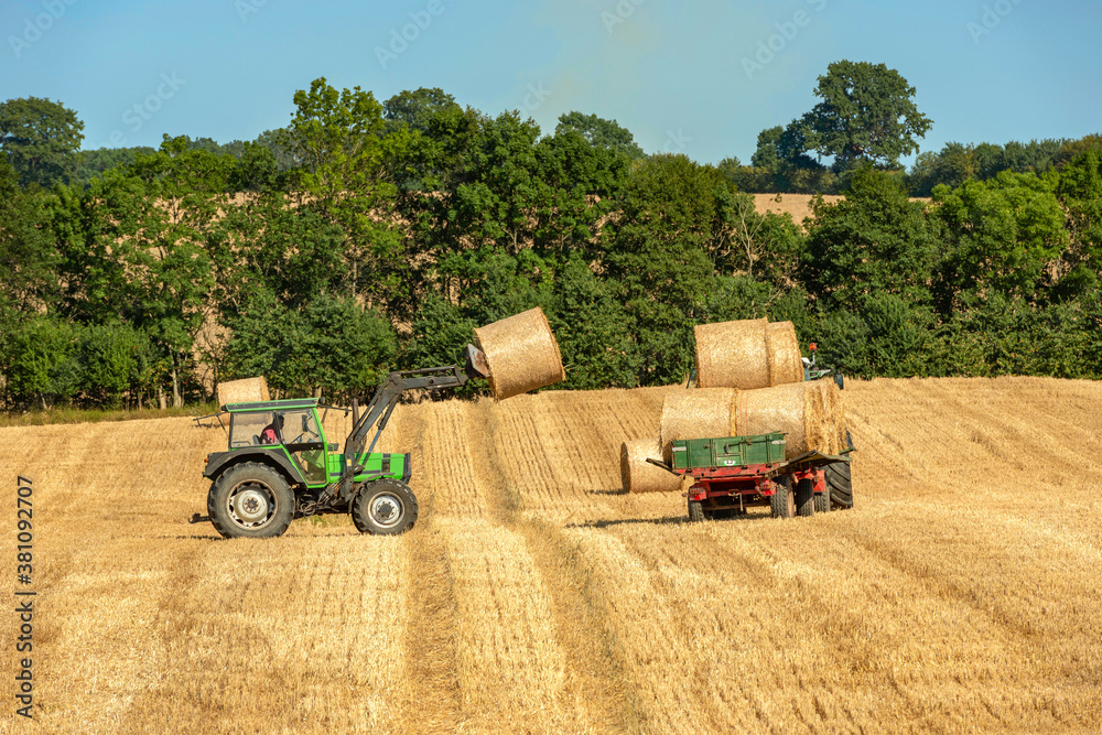 Obraz premium Loading of straw rolls after grain harvest - 3480