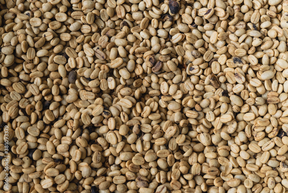 Background with natural coffee beans. Background with natural coffee beans.