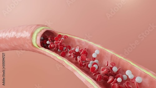 Red blood cells flow inside an artery, vein. Healthy arterial cross-section blood flow. Scientific and medical microbiological concept. Enrichment with oxygen and important nutrients, 3d Animation