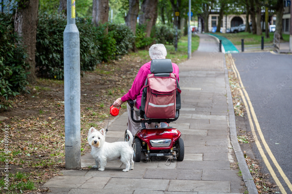 An elderly woman in a mobility scooter walking her dog An elderly woman in a mobility scooter walking her dog