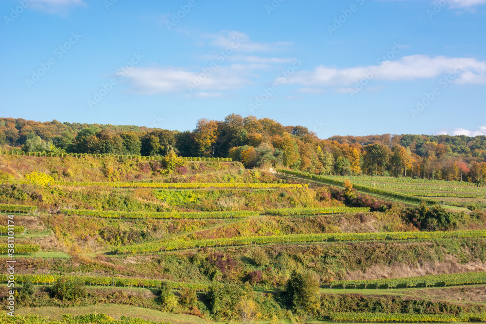 Weinbau im Kaiserstuhl / Baden-Württemberg / Deutschland Weinbau im Kaiserstuhl / Baden-Württemberg / Deutschland