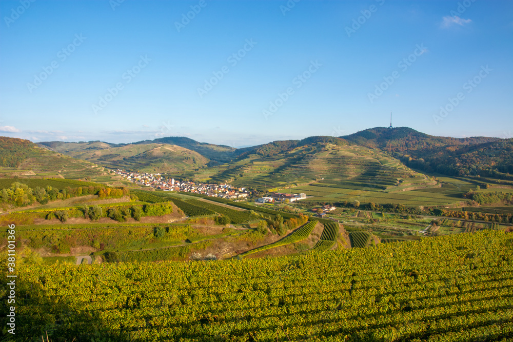 Oberbergen im Kaiserstuhl - Aussicht vom Aussichtspunkt Mondhalde, Blick Richtung Totenkopf - Stadt Vogtsburg im Kaiserstuhl / Baden-Württemberg / Deutschland