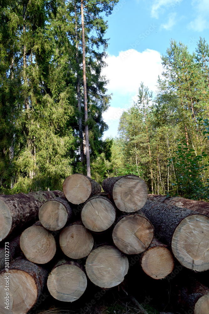 Deforestation and Forest Degradation Deforestation and Forest Degradation