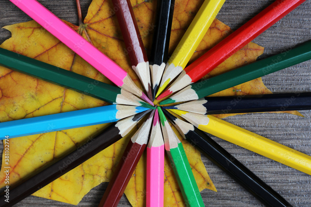Fototapeta premium Set of colored pencils folded in a circle
