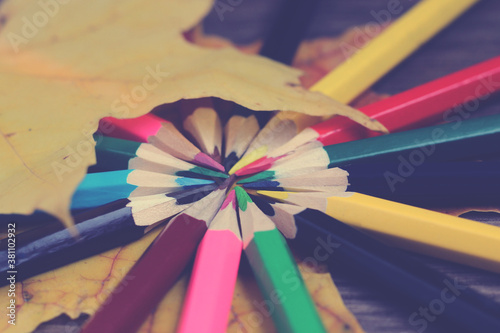 Set of colored pencils folded in a circle photo