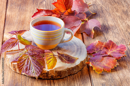 Autumn concept drink warm morning tea, healthy natural infusion of raspberry leaves for herbal therapy on a wooden background