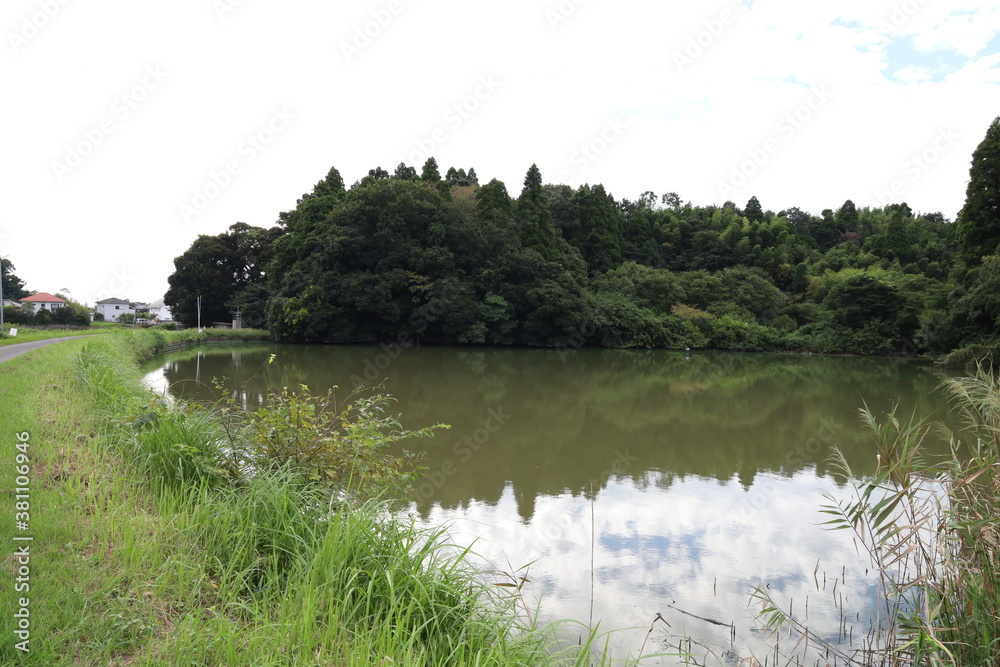田舎の池 田舎の池