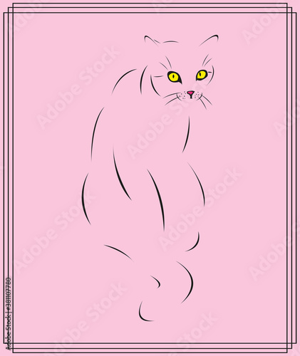 Cat. Colored vector illustration on a pink background.