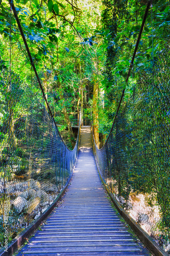 Rainfor minnam bridge vert
