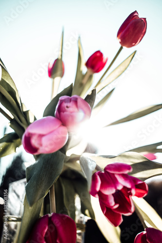 Blumen