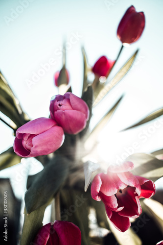 Blumen
