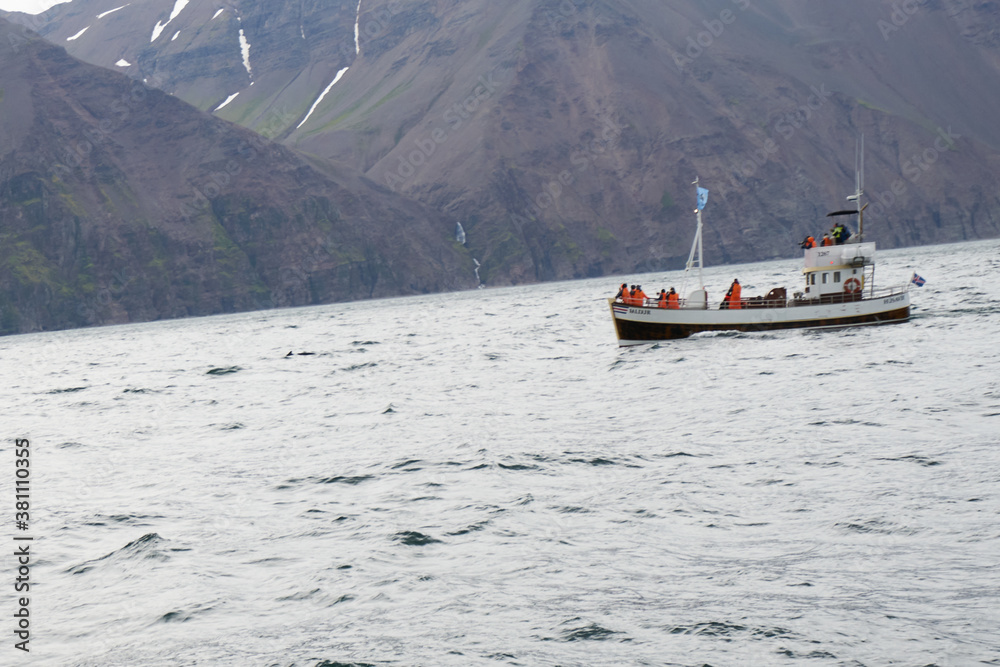 Whale watching ship in Husavik, on the north coast of Iceland