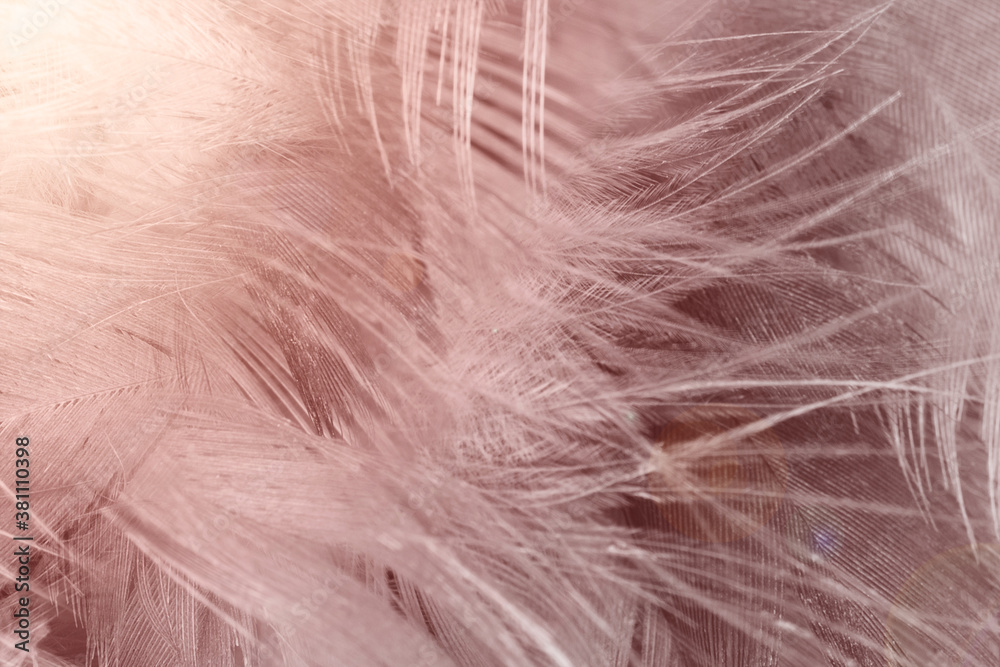 Obraz premium Beautiful brown feather texture pattern background with flare light