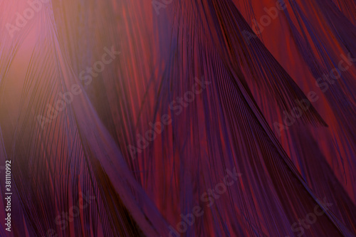 red feather pattern texture background with light