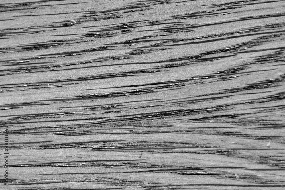 Fototapeta premium Wood textured monochrome background