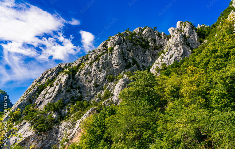 Danube gorge in Djerdap on the Serbian-Romanian border Danube gorge in Djerdap on the Serbian-Romanian border