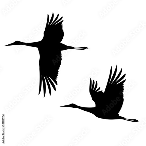 Two silhouettes of cranes flying in the sky. Vector monochrome isolated image.