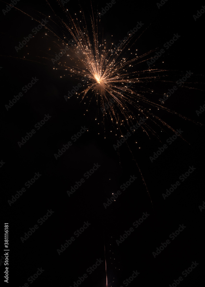 Obraz premium fireworks in the sky
