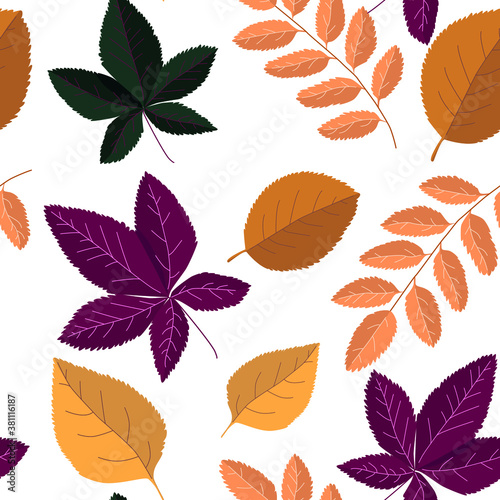 Vector seamless background of different leaves. Autumn falling leaves. The autumn palette. Hand drawn