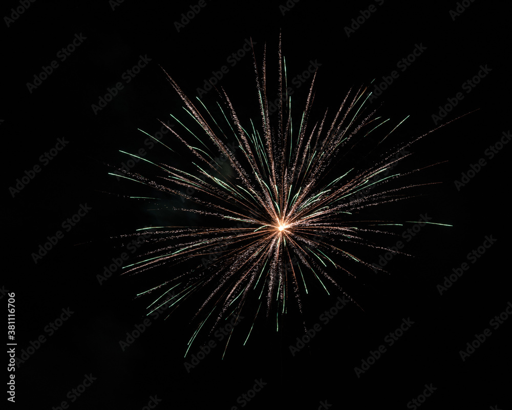 Fototapeta premium fireworks in the night sky