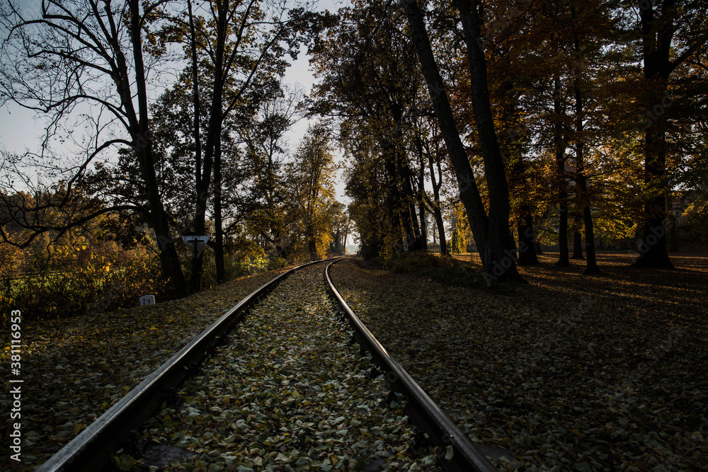 Abandoned railway in autumn through countryside Abandoned railway in autumn through countryside