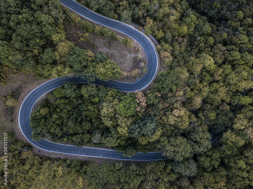 Double curve road through forest