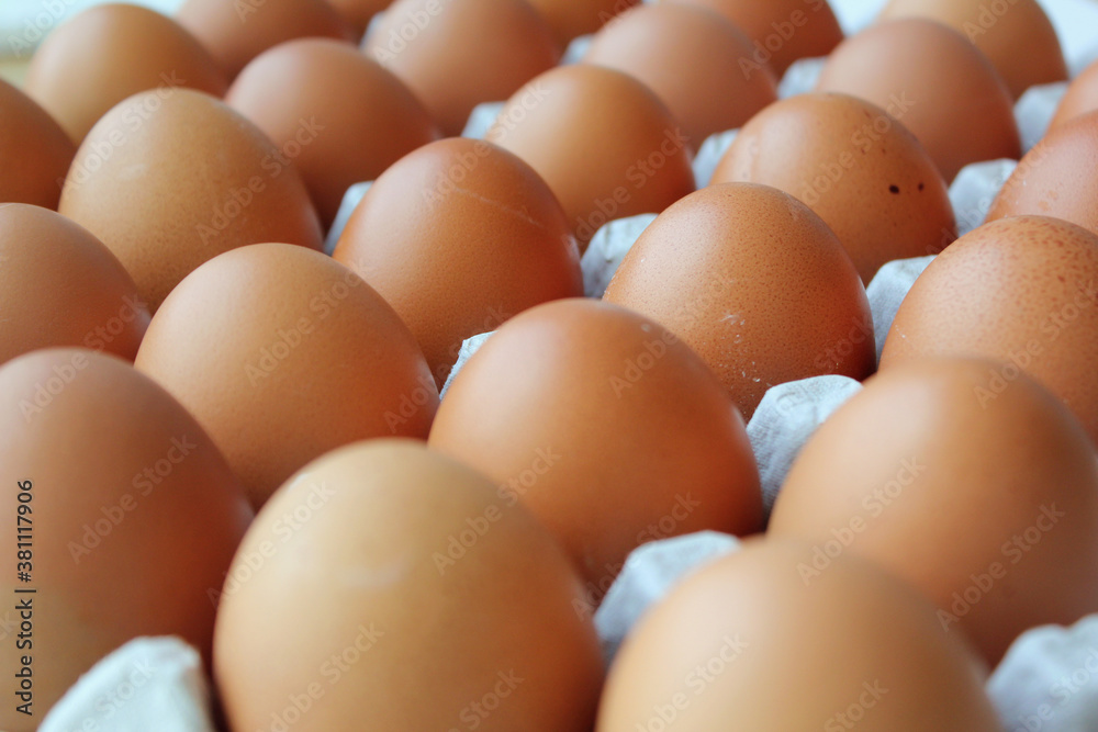 Eggs in egg tray