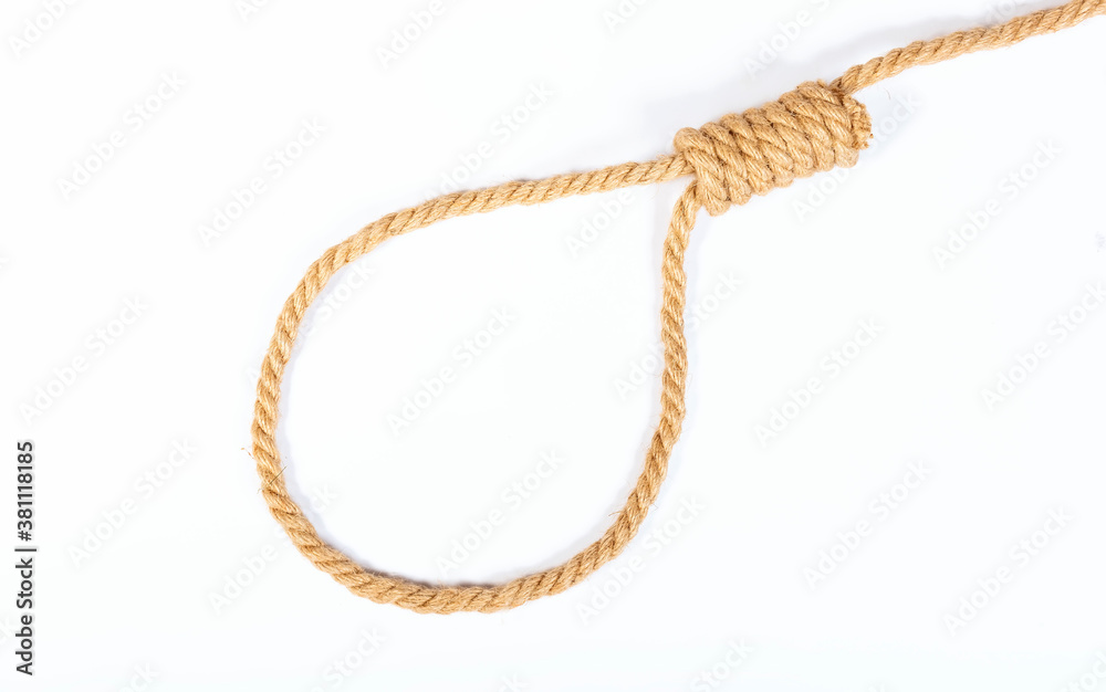 Executioner's knot, noose, rope on a white background