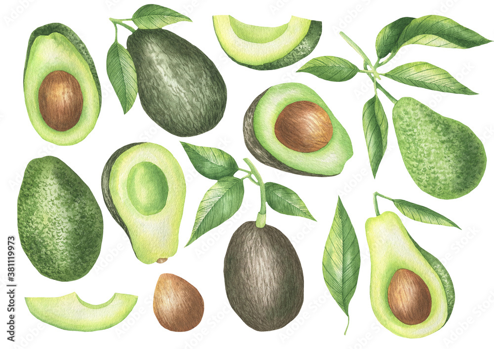 Set of avocado Set of avocado