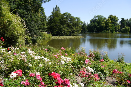 Rosen Teich Lac im Bergpark Wilhelmshöhe in Kassel