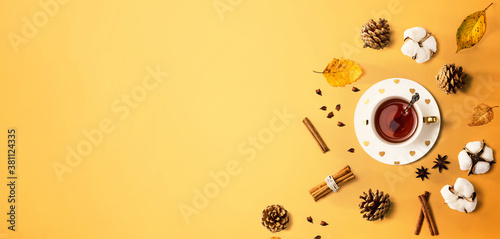 Картината върху платно Autumn theme with cinnamon tea - flat lay