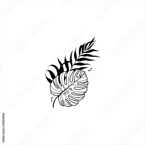 Tropical plant leaves. Vector silhouette collection.