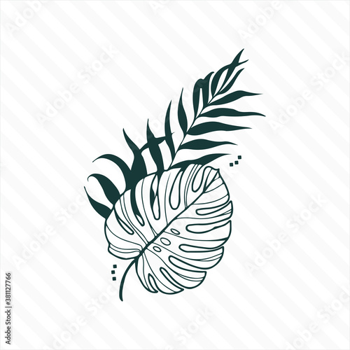 Hand drawn branches and leaves of tropical plants. P