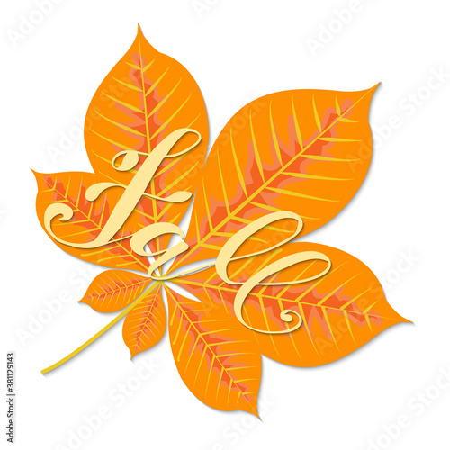 Beautiful hand drawn autumn foliage vector sale label, banner template. Lettering design. Fall leaf. Vector illustration