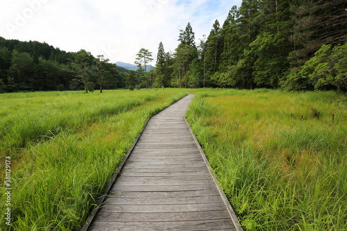 徳島県三好市 黒沢湿原の風景 © setsuna
