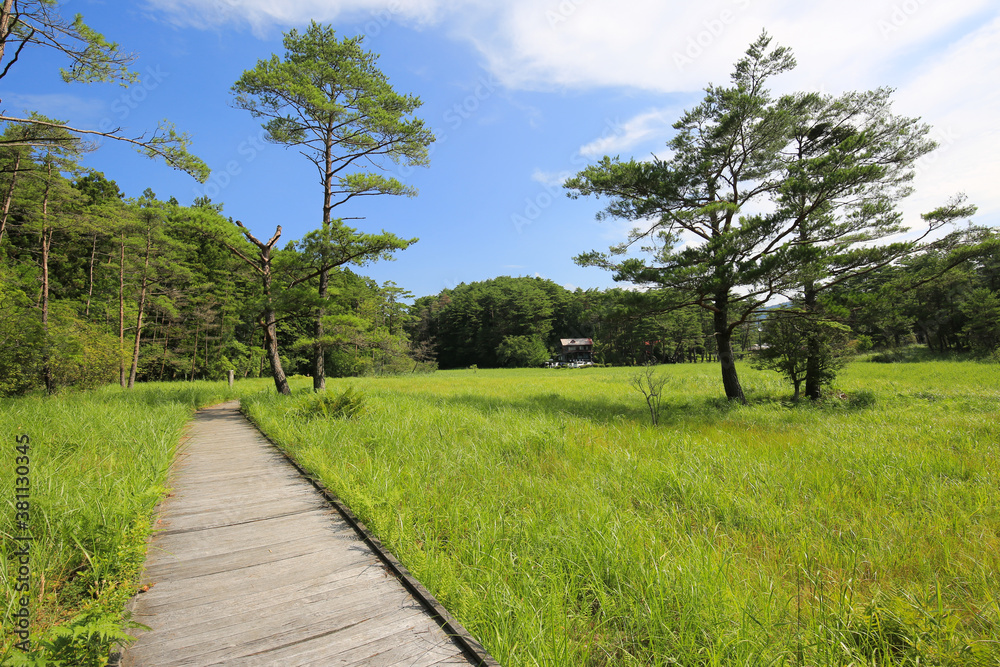 徳島県三好市　黒沢湿原の風景