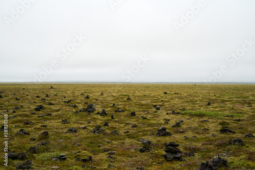 Eldhraun lava field covered in green moss, sounth coast of Iceland. Icelandic mossy lava field scenery photo