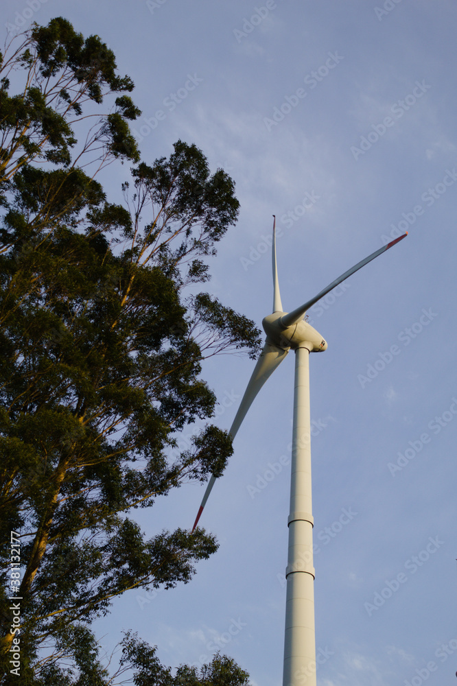 Wind turbines in a wind farm in Brazil