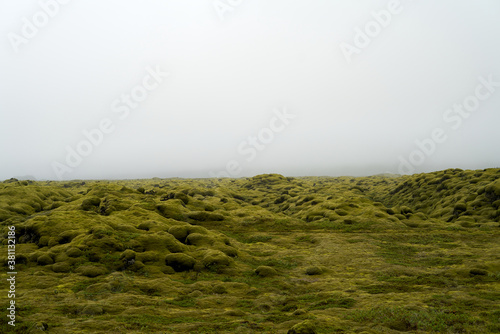 Eldhraun lava field covered in green moss, sounth coast of Iceland. Icelandic mossy lava field scenery photo