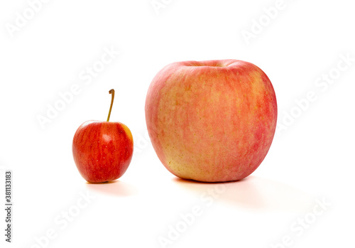 a small apple and a giant size one on a white background