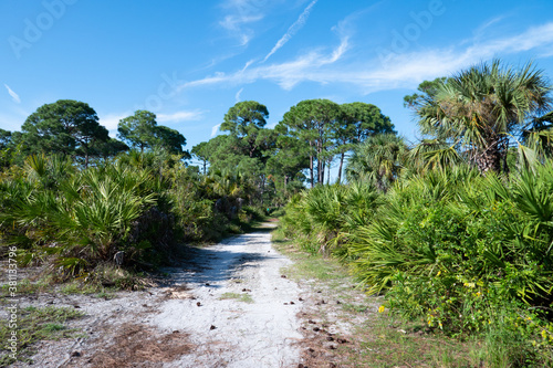 Εκτύπωση καμβά Landscape of Honeymoon Island State Park in Florida