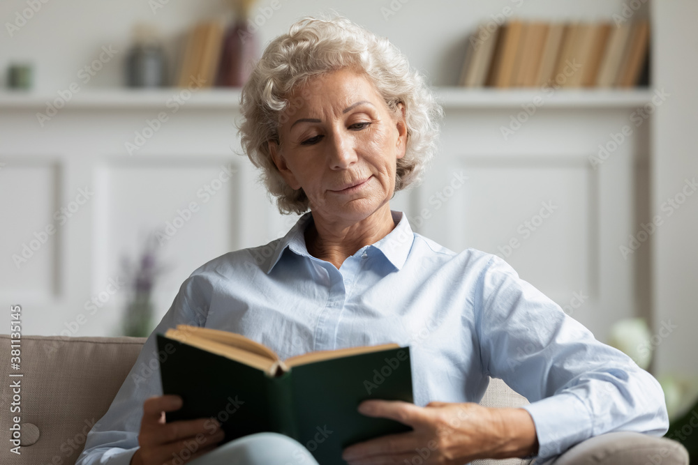Fascinating novel. Calm concentrated elegant old lady sitting on sofa in living room enjoying favourite story, nice-looking mature woman spending leisure time for reading paper book of home library Fascinating novel. Calm concentrated elegant old lady sitting on sofa in living room enjoying favourite story, nice-looking mature woman spending leisure time for reading paper book of home library