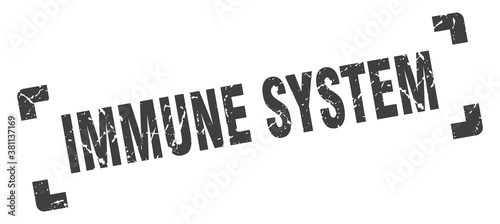 immune system stamp. square grunge sign isolated on white background