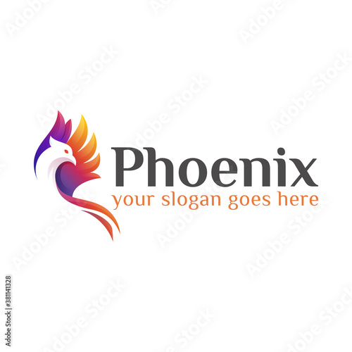 modern colorful fly phoenix or eagle logo design vector template