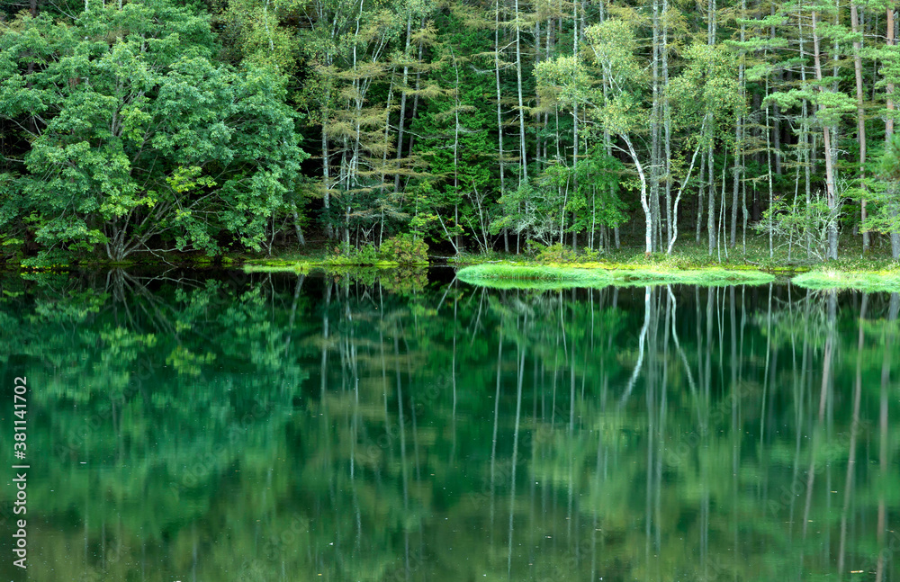 森の緑色を映す御射鹿池